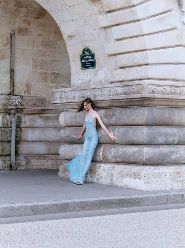 Éclats de Lune Embellished Lace Slip Gown